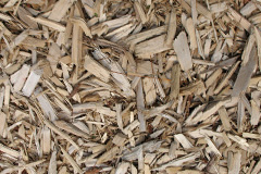 biomass boilers Trevemper